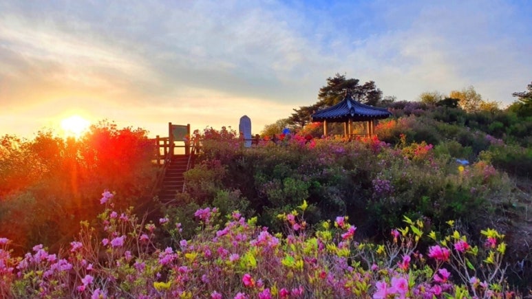 화창화원 이미지