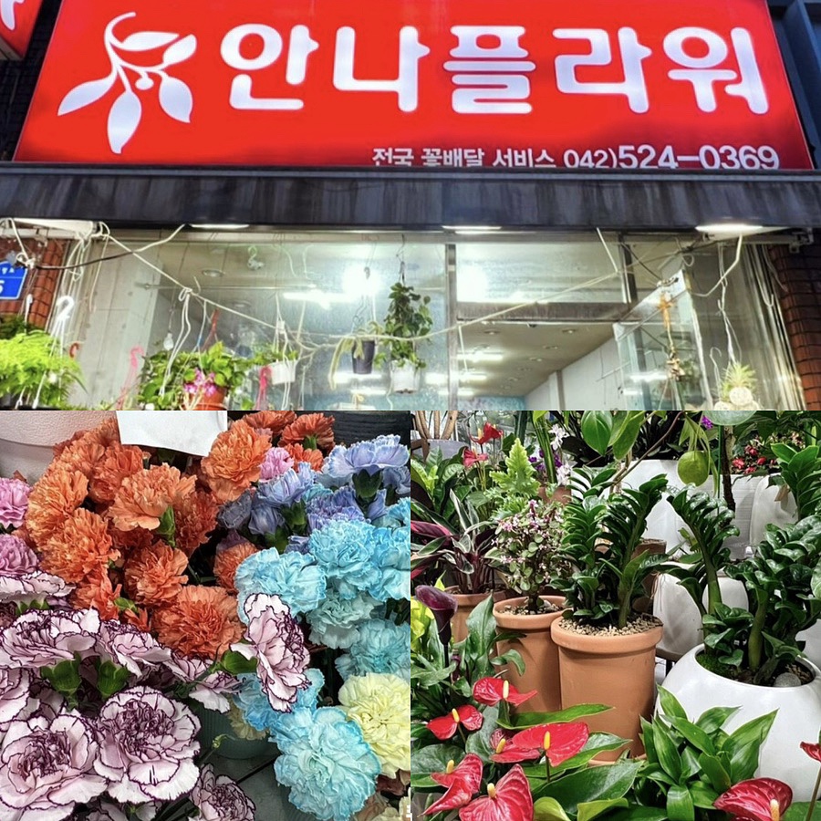대전꽃집안나플라워 이미지