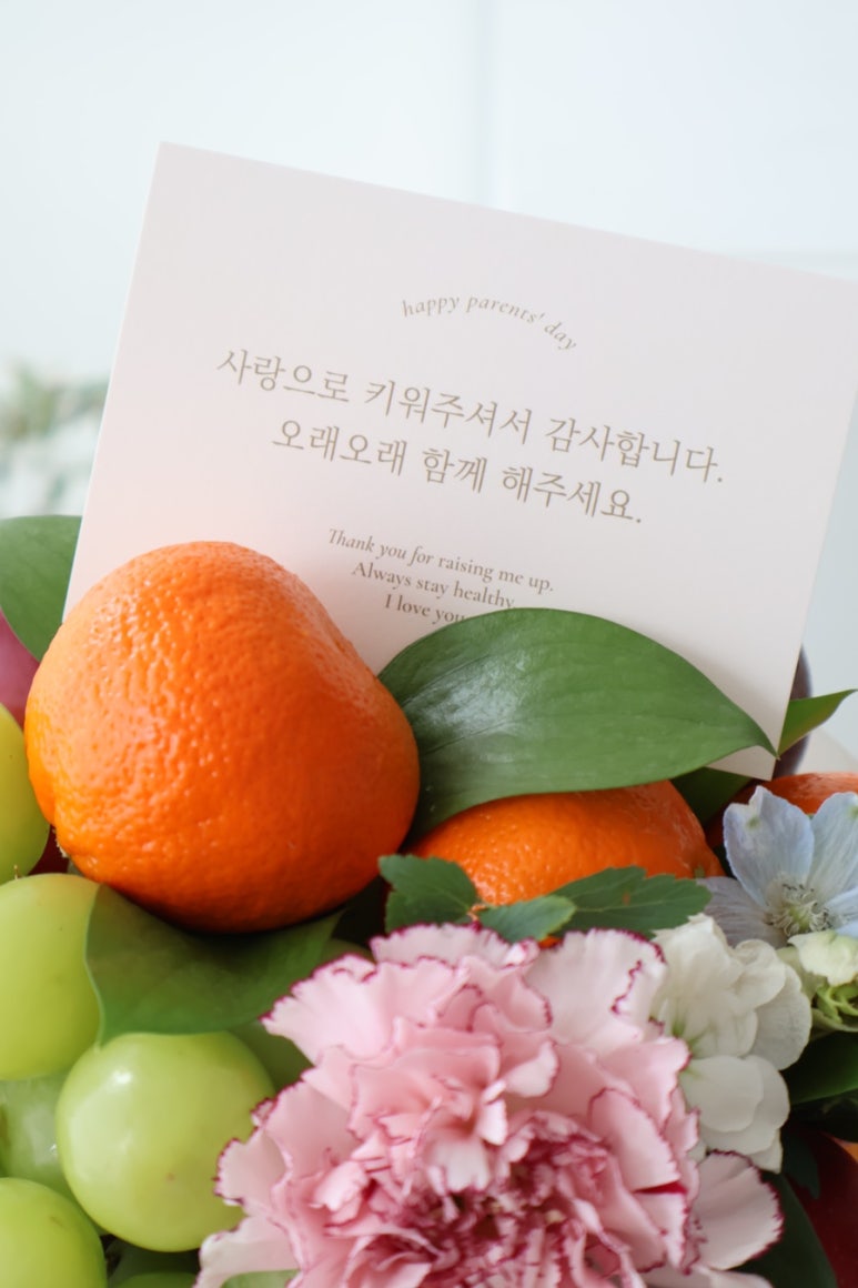 너와과일 이미지