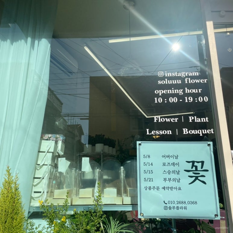 솔루플라워 이미지