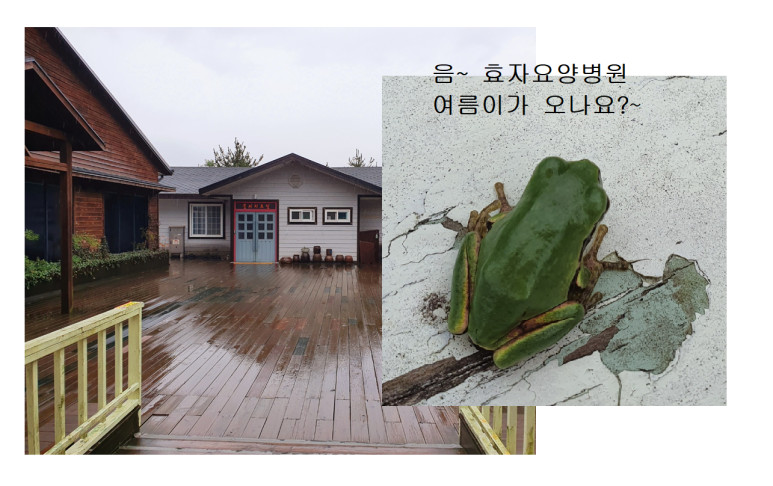 친절요양병원 이미지
