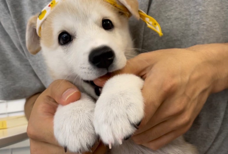 러브어스스튜디오 이미지