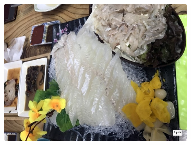 광발이 이미지