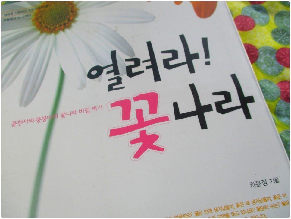 아름다운꽃나라 이미지