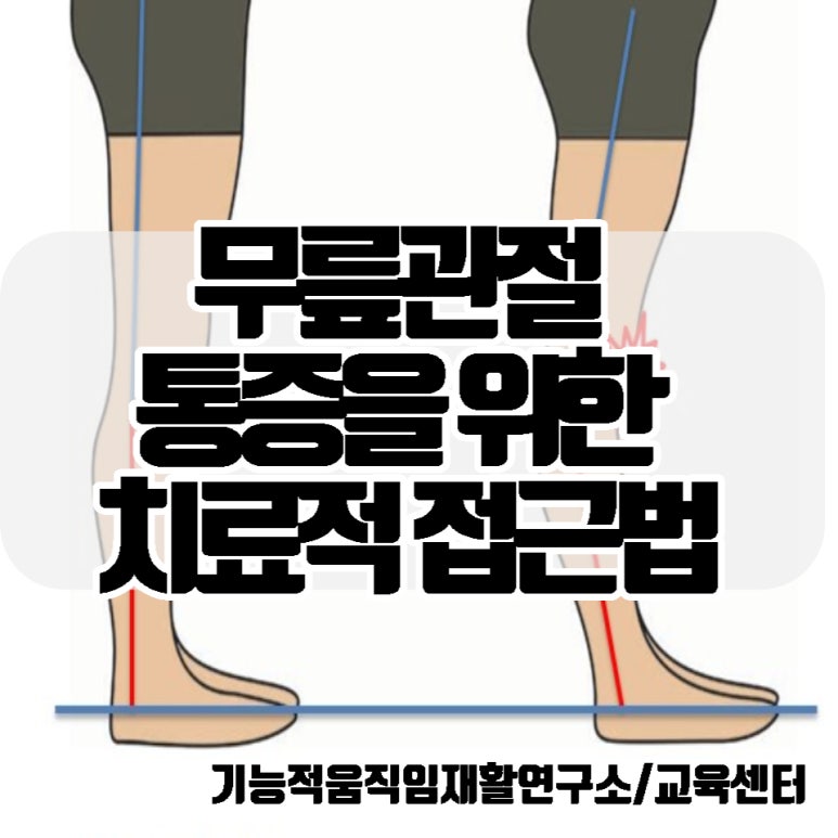 기능동작아카데미 이미지