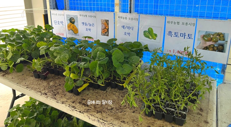 와부농업협동조합하나로마트 이미지