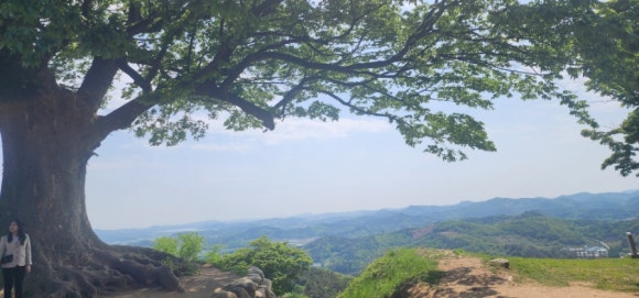 슈만피아노아카데미학원 이미지