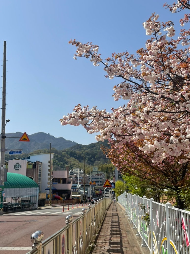 심심브레드 이미지