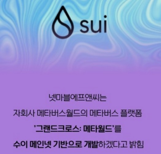 디엠네트워크 이미지