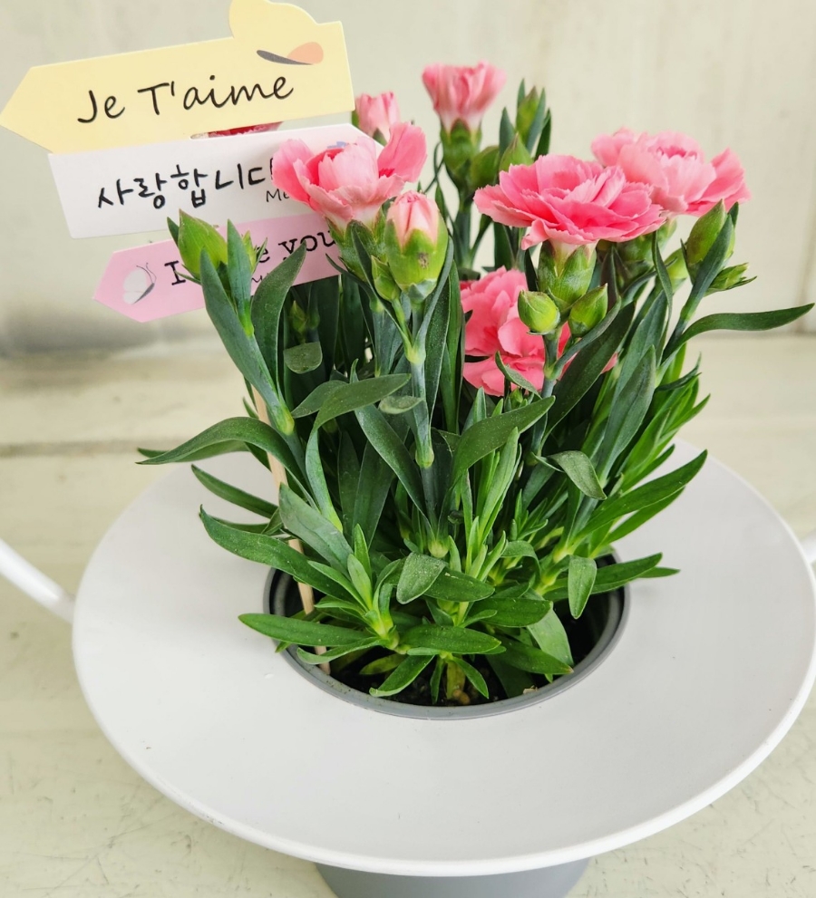 향록원 이미지