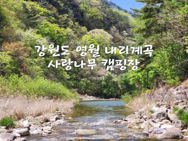사랑나무 캠핑장 이미지