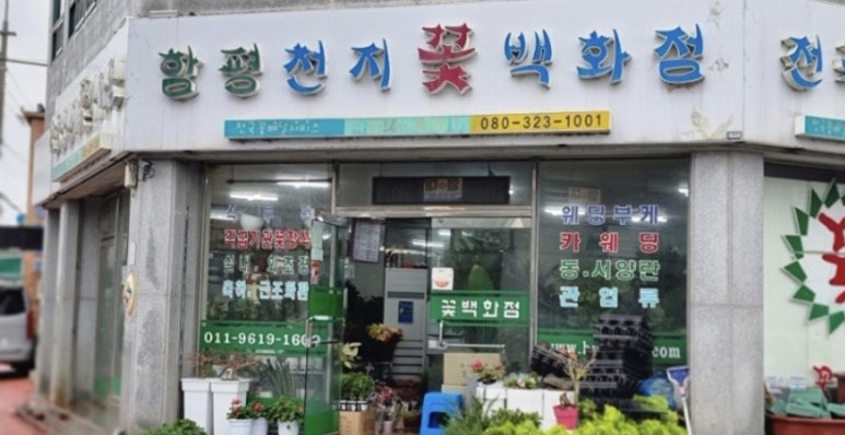 함평천지꽃 이미지