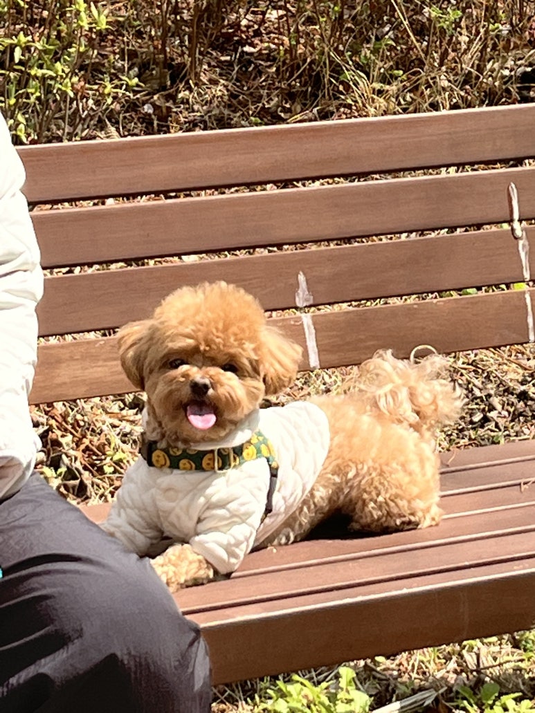 화창정밀 이미지