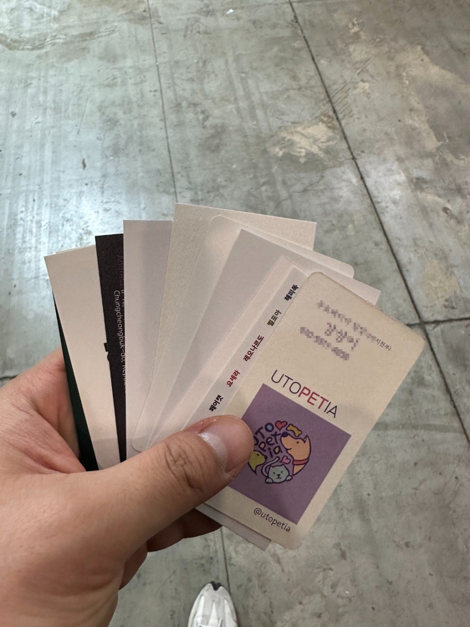 플라워펫 이미지
