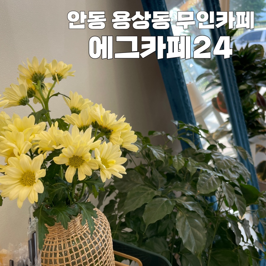 에그까페24 이미지