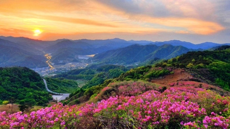 화창화원 이미지