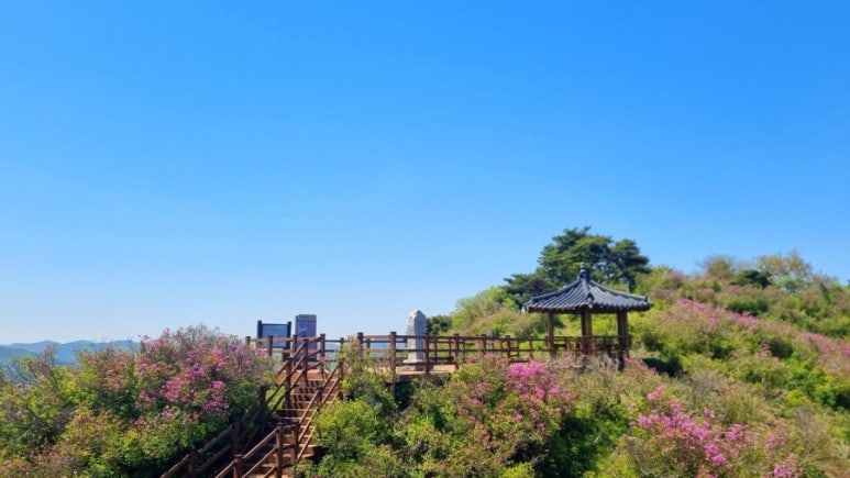 화창화원 이미지