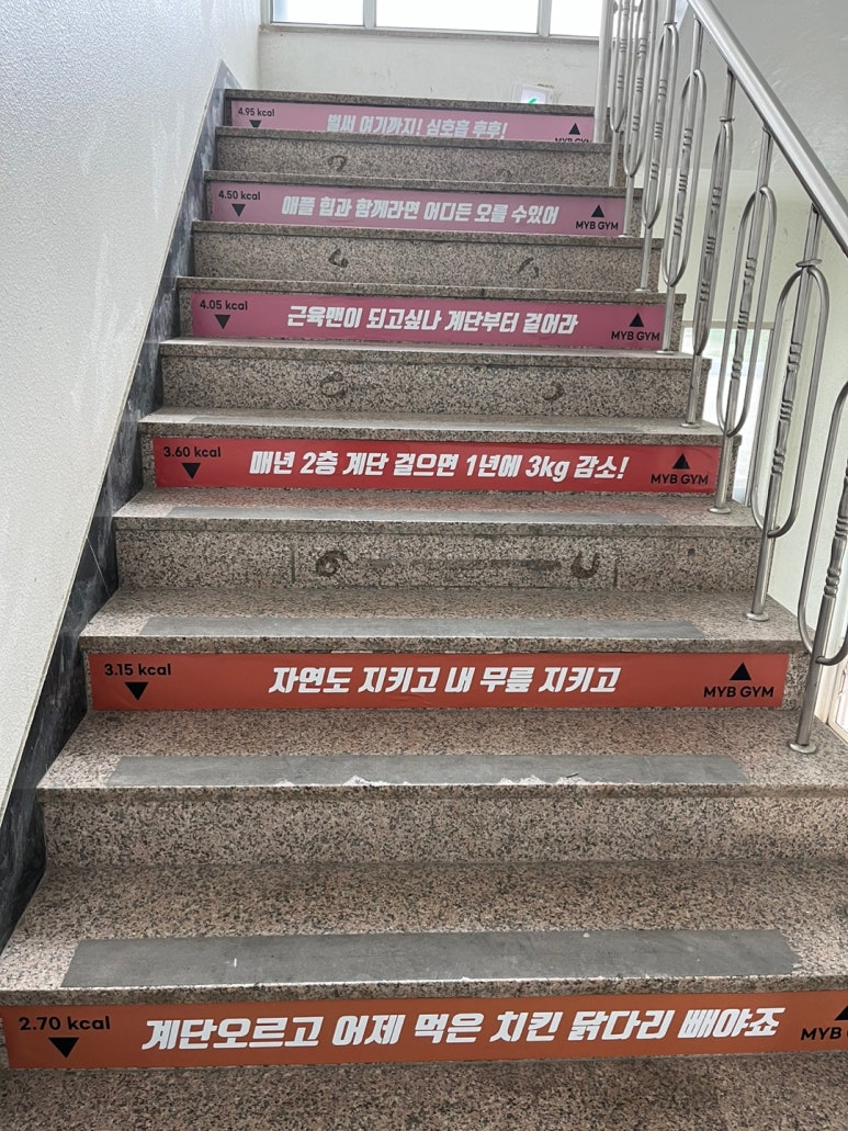 마이비짐 이미지