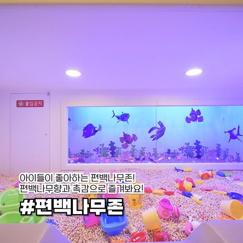 일루일루 키즈카페 이미지