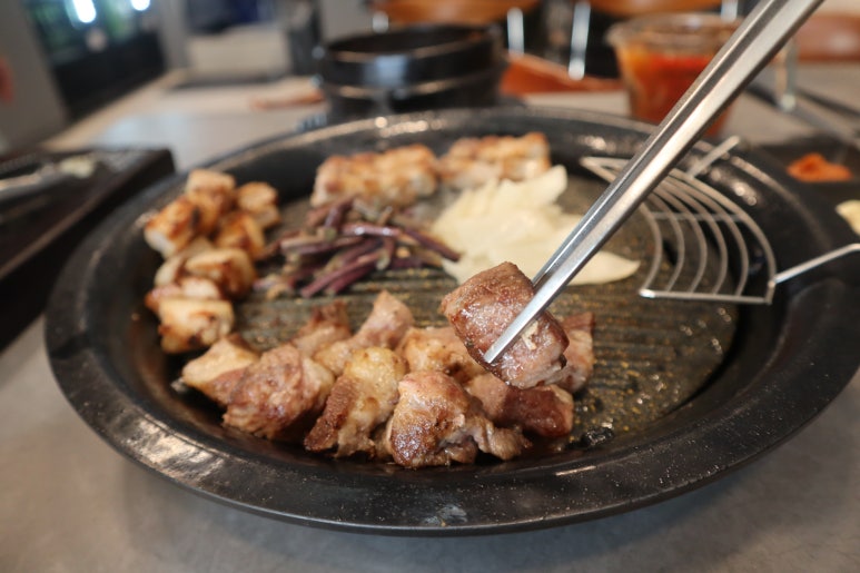 바로돼지 이미지