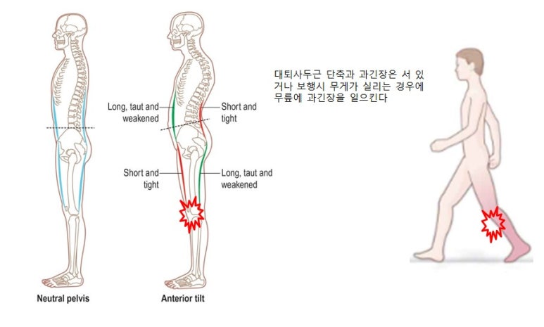 기능동작아카데미 이미지
