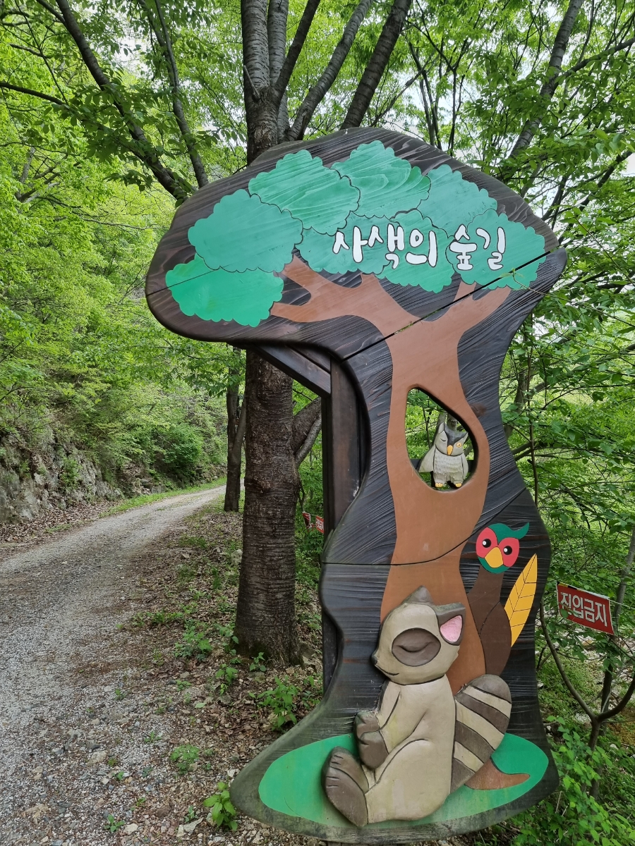 천년뿌리인삼튀김 이미지