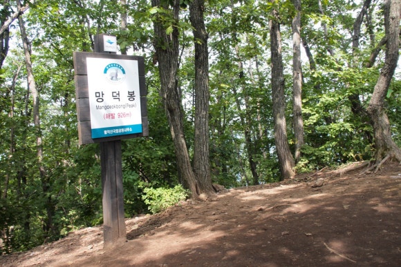 금수산뷔페 이미지