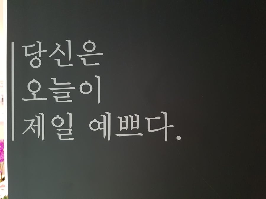 더 뷰티 보나 이미지