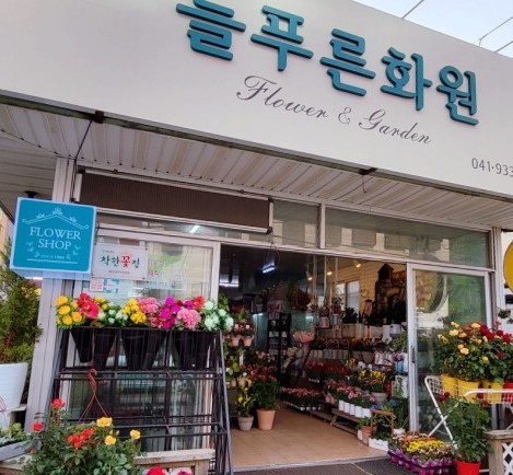 늘푸른화원 이미지
