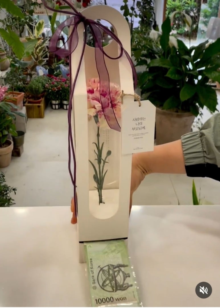 차보스케 이미지