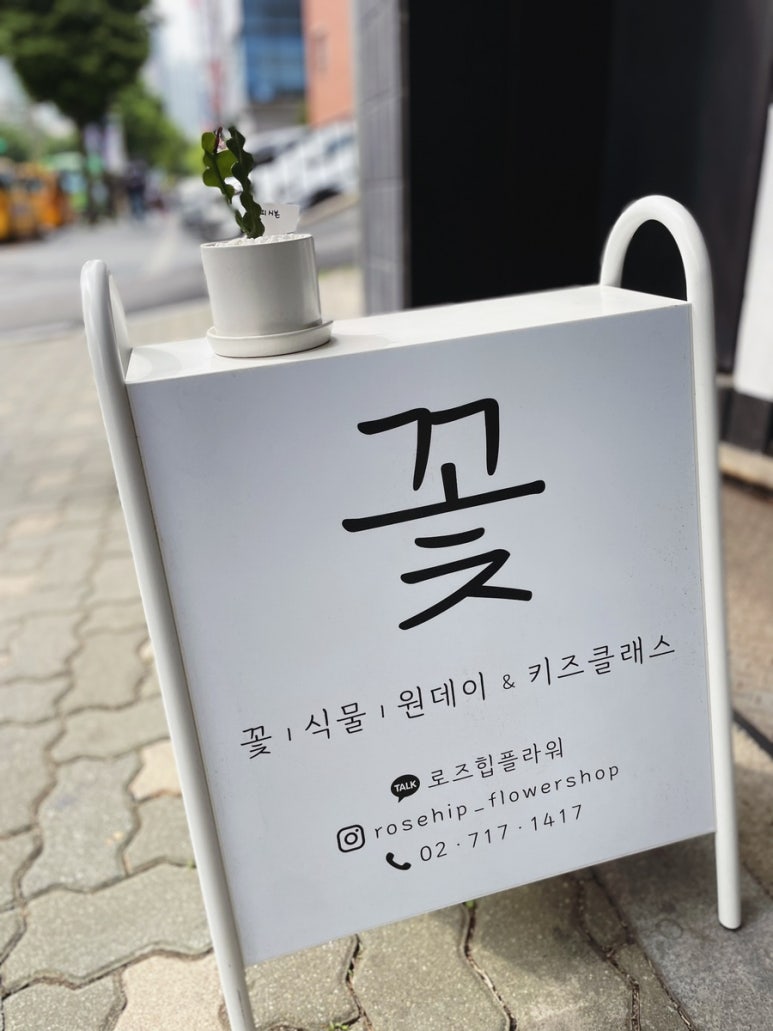 로즈힙플라워 이미지