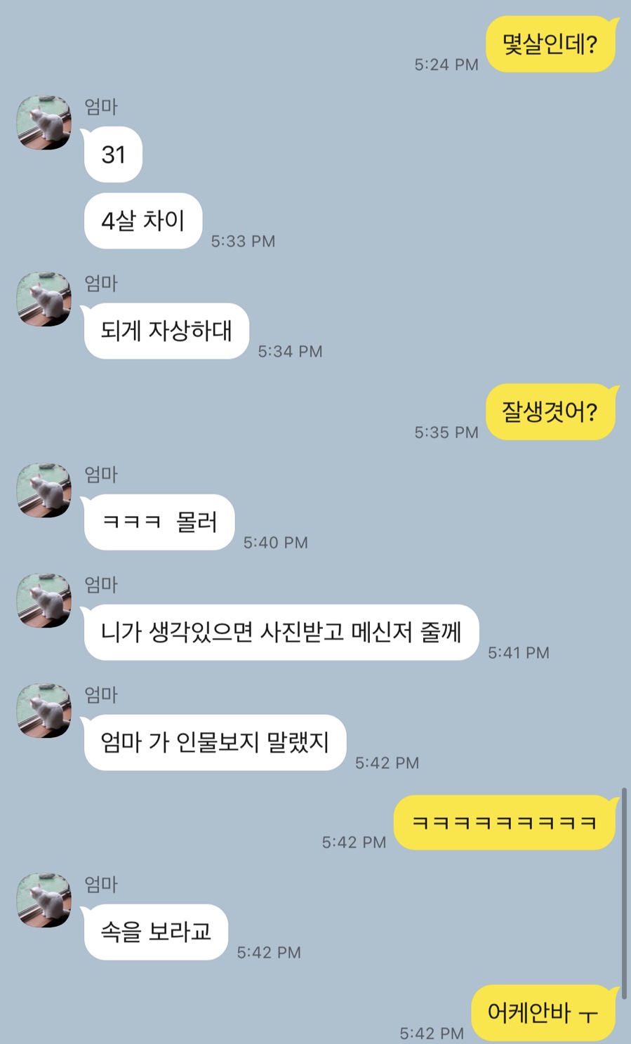 선보래 이미지