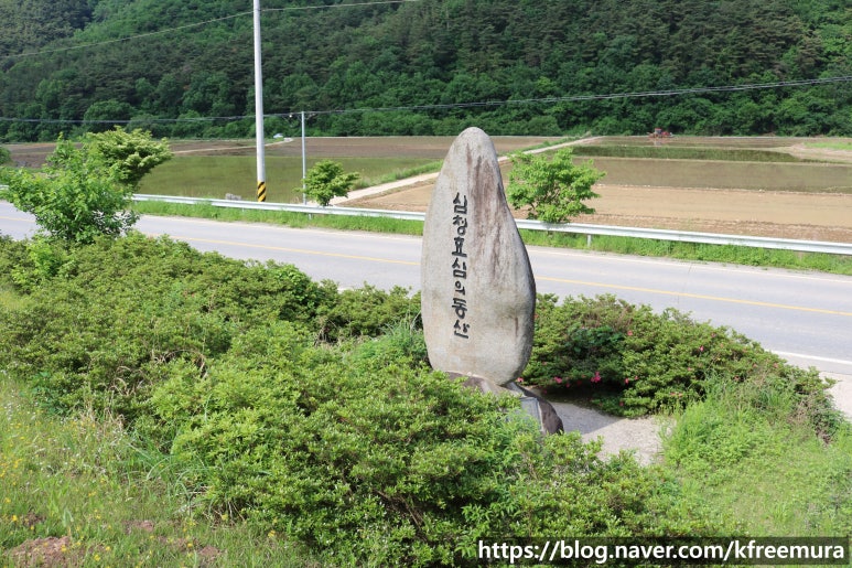 효심개발 이미지