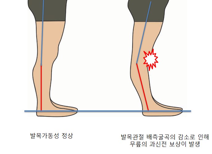 기능동작아카데미 이미지