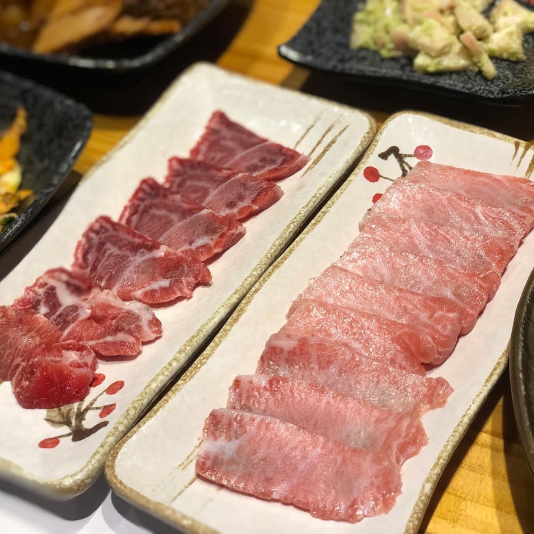기꾸참치 이미지