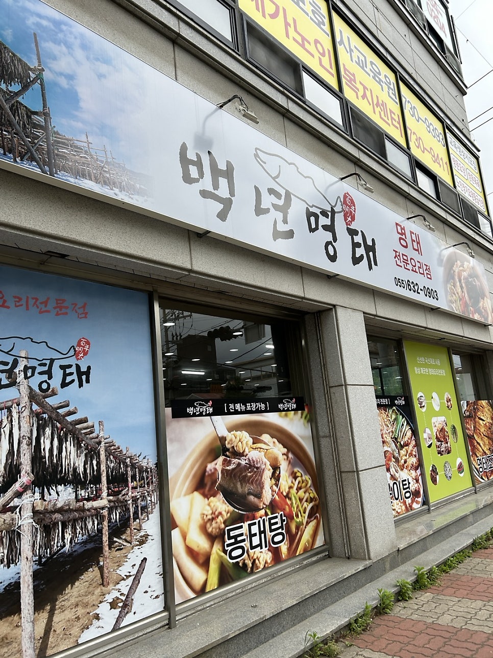 백년명태 이미지
