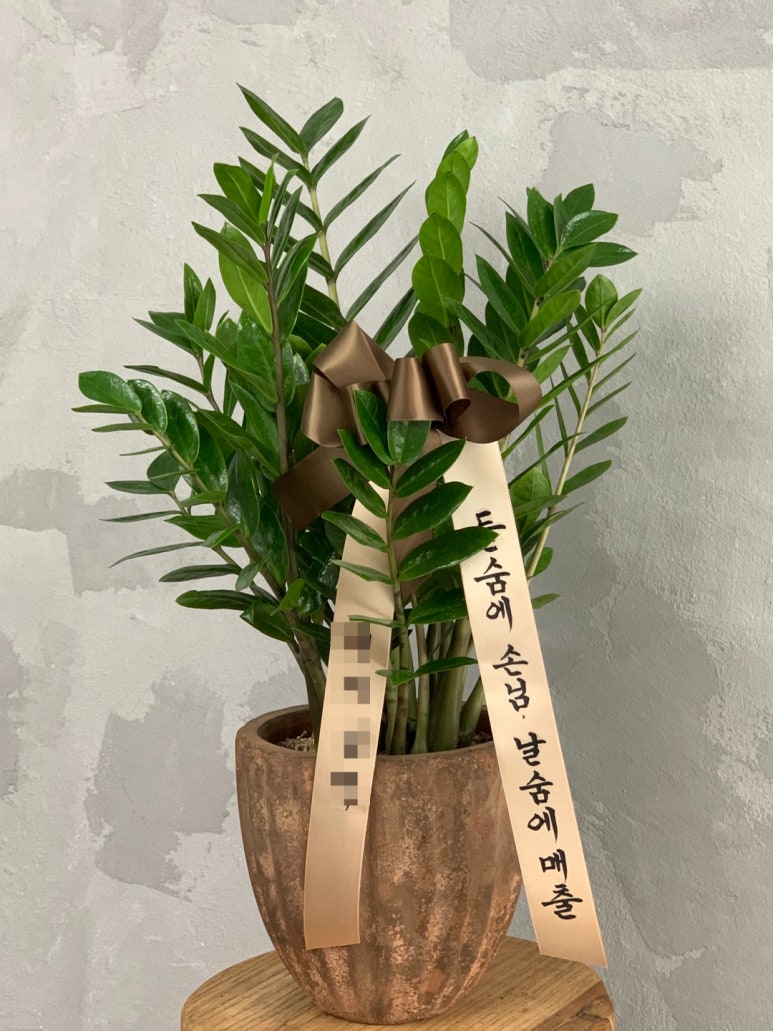 폴리의꽃과가든 이미지
