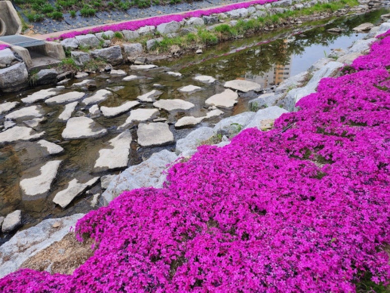 보배반점충주 이미지