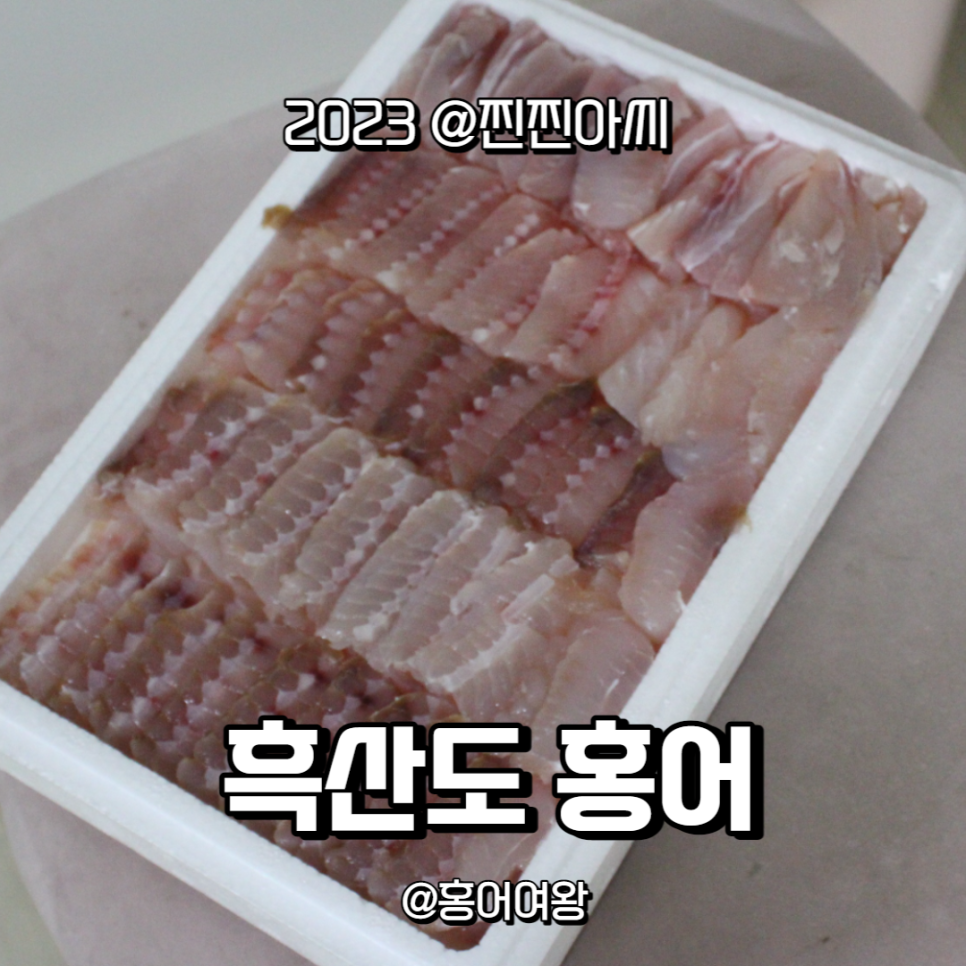 홍어여왕 이미지
