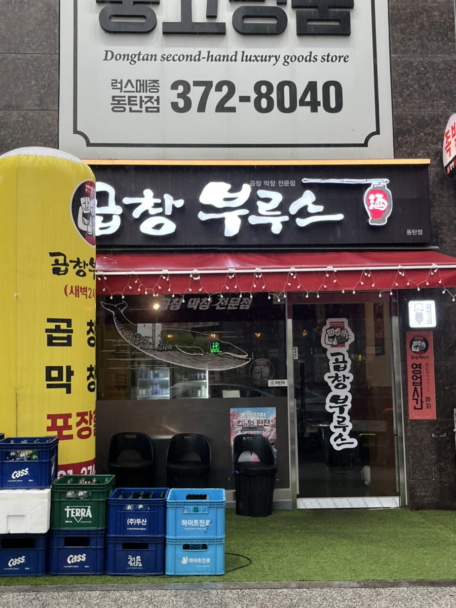 곱창부루스 이미지