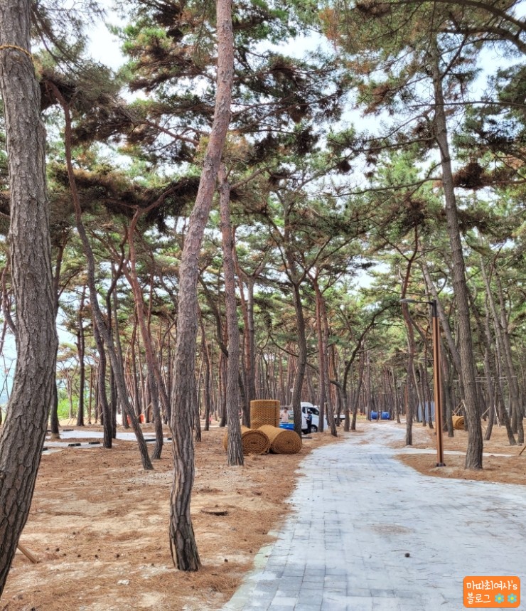 마실야영장 이미지
