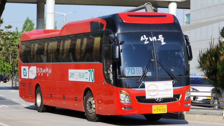 선진관광여행사 이미지