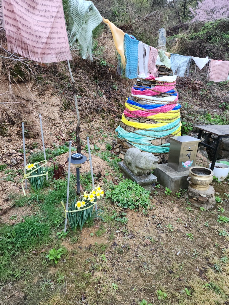 용꿈돼지꿈 이미지