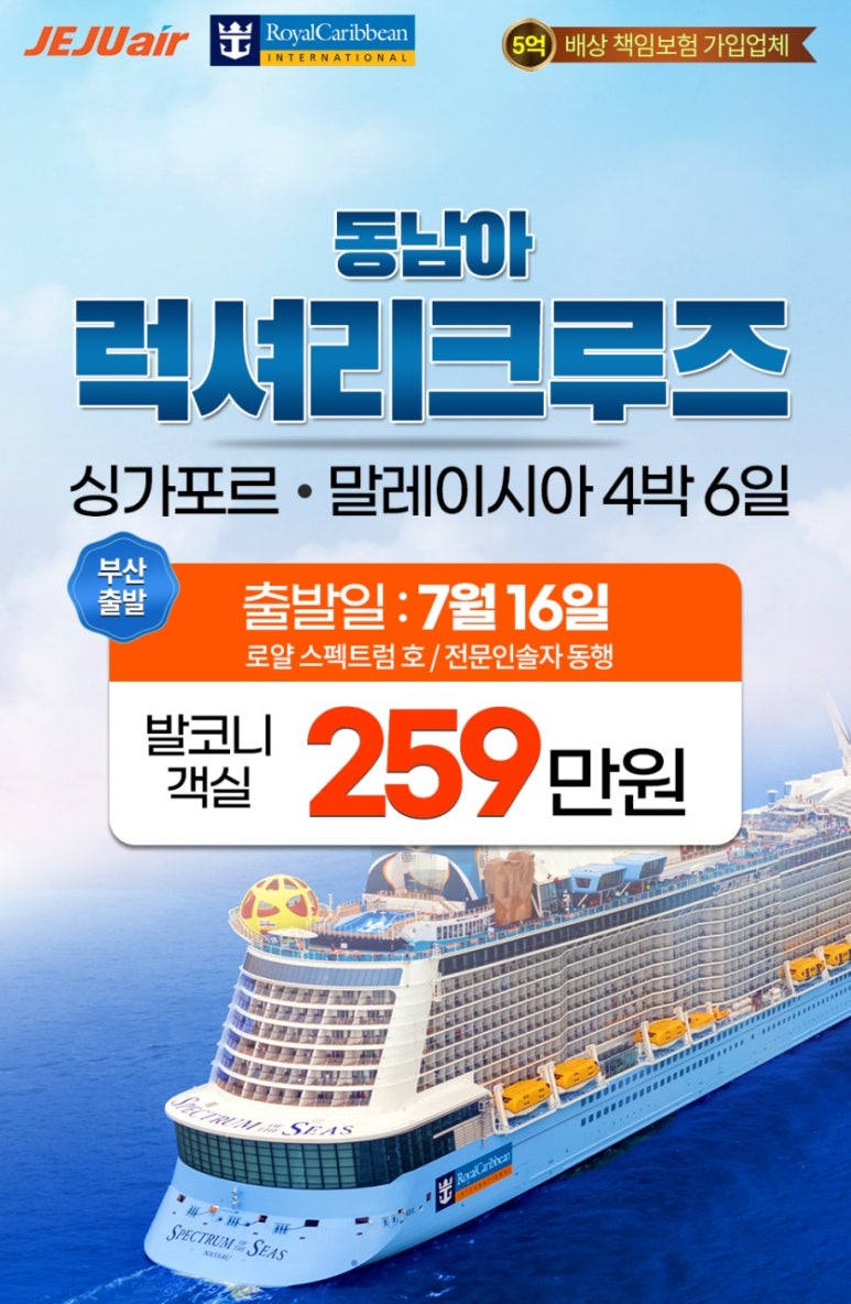 바이더카 이미지