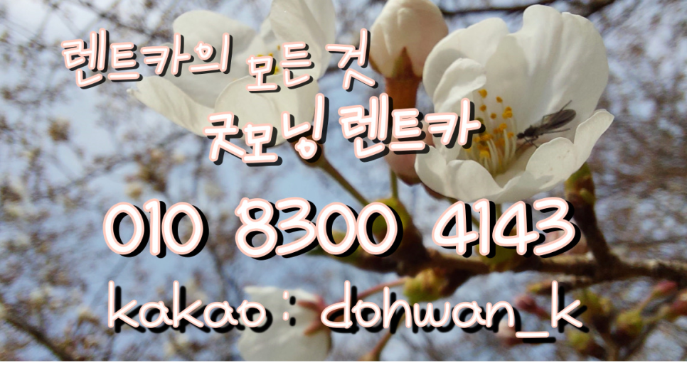 굿모닝렌트카 이미지