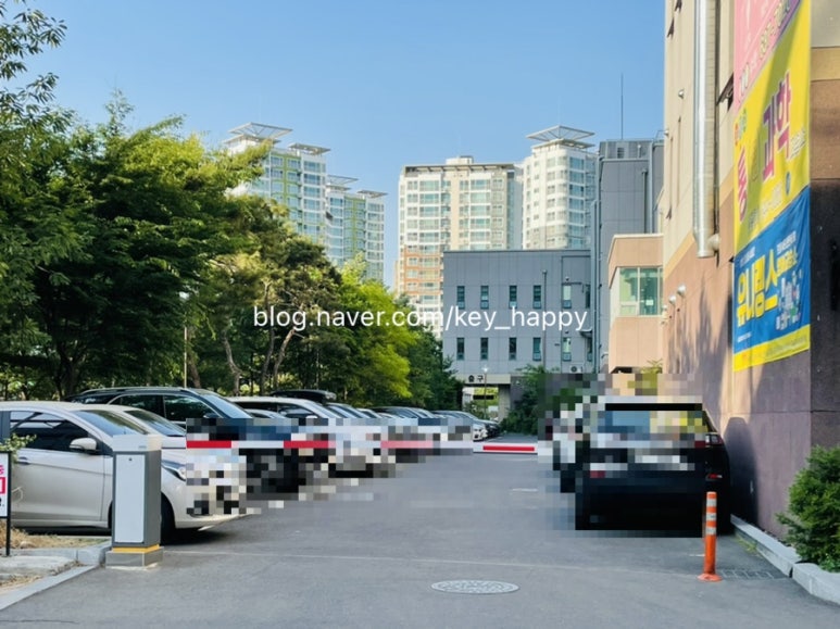 월배과일 이미지