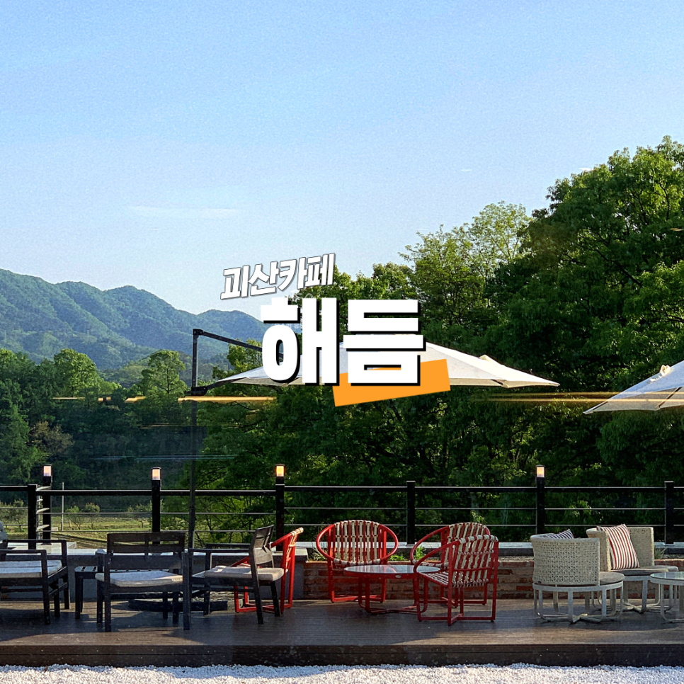 해듬꽃 이미지