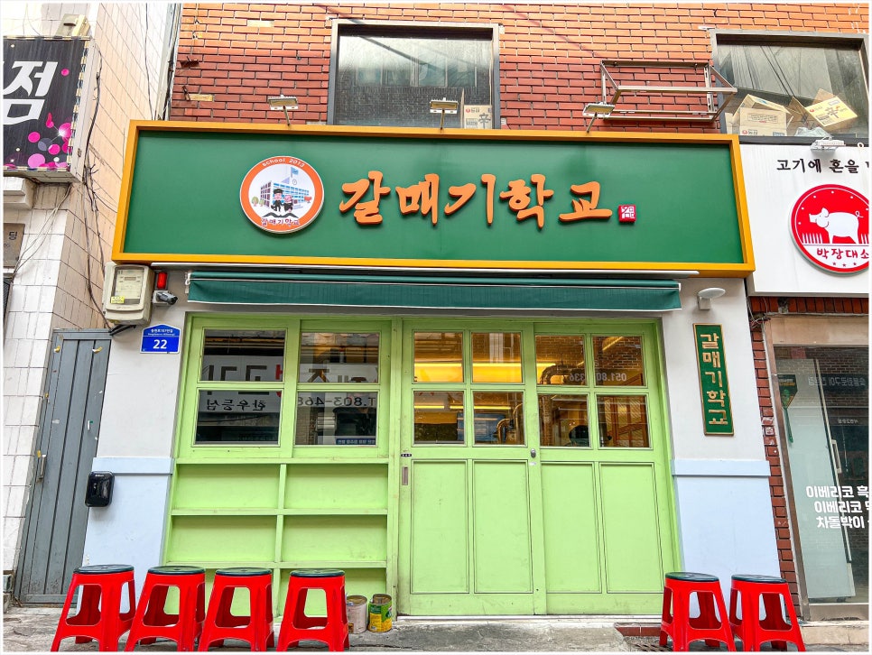갈매기 학교 이미지