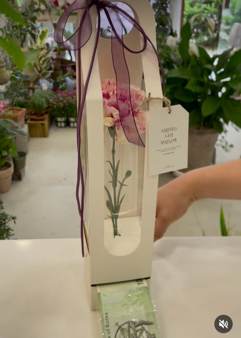 차보스케 이미지