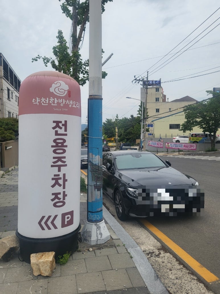 약천한방생오리 이미지